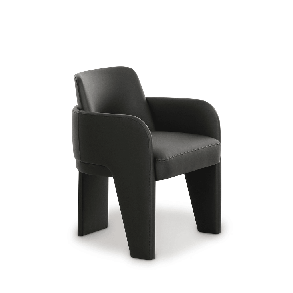 Leo Dining Chair - Valyouweho